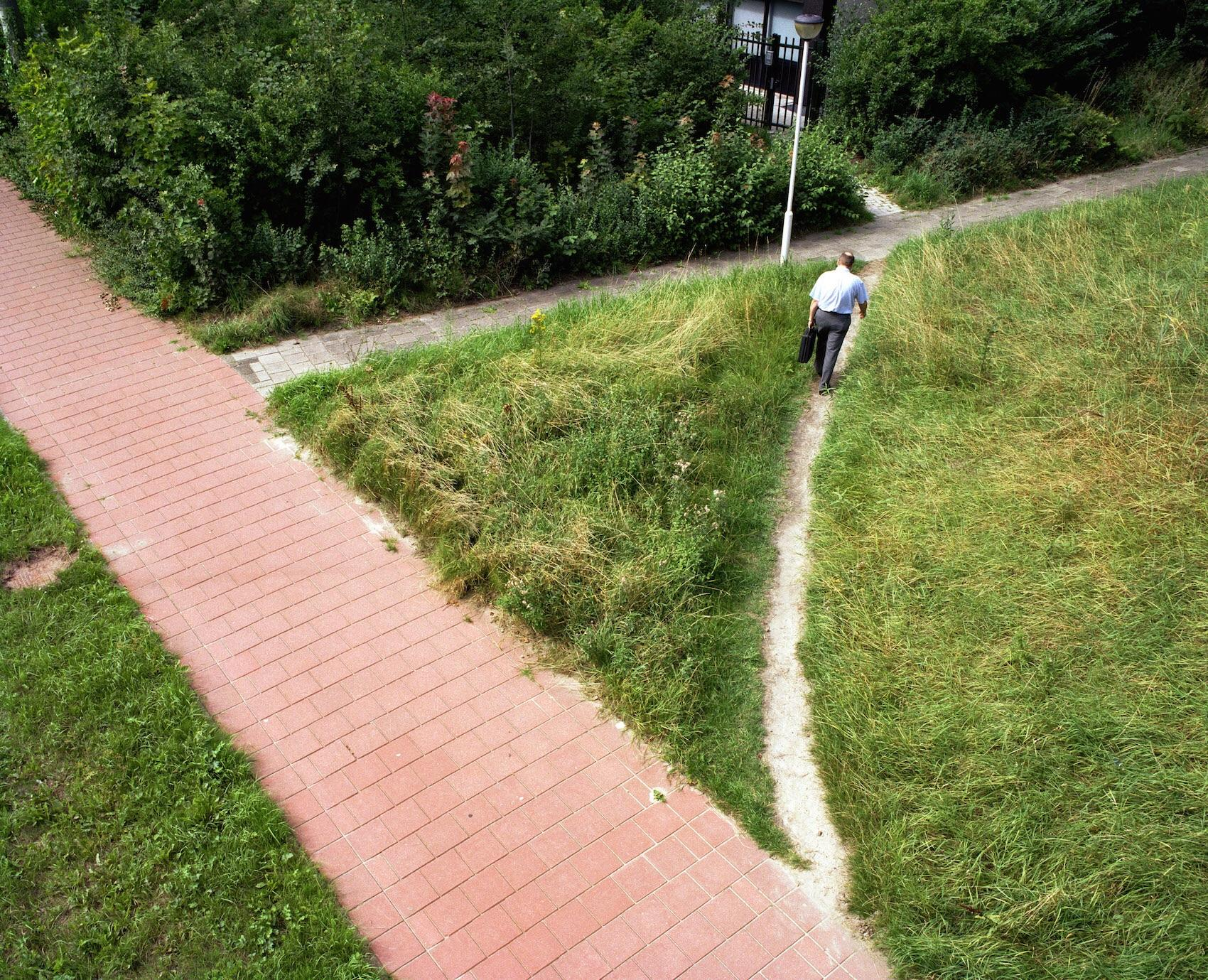A desire path carved out by its users. Photo by Jan-Dirk van der Burg.
